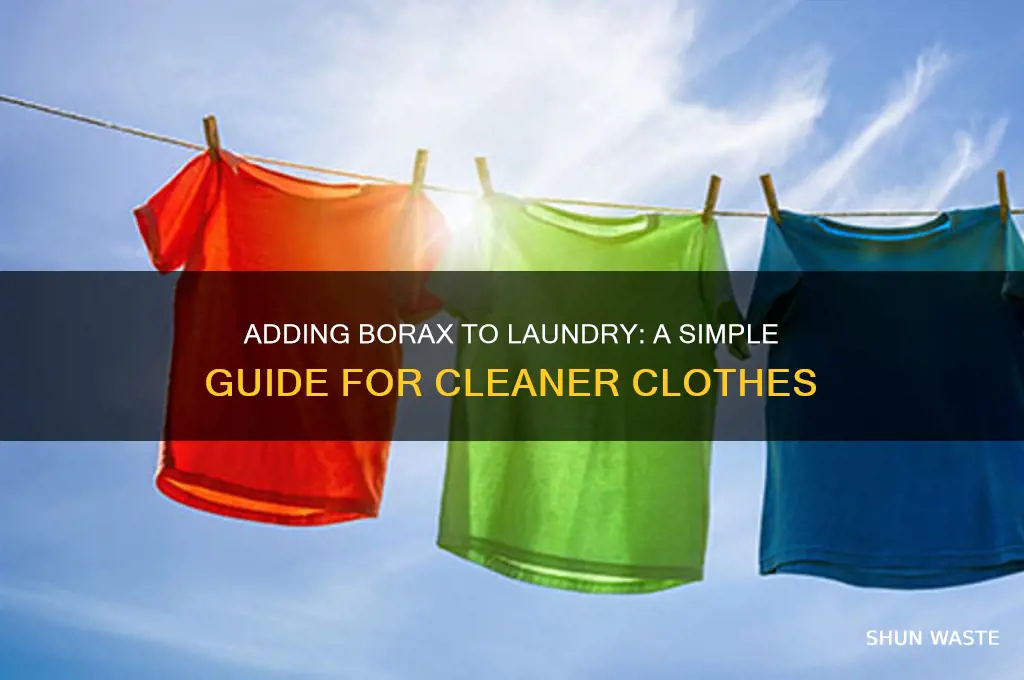 how do you add borax to the waster
