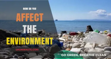 Your Daily Choices: How You Impact the Environment Every Day