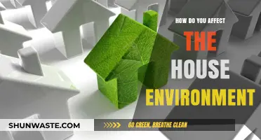 Transform Your Home: Simple Ways to Influence Your House Environment