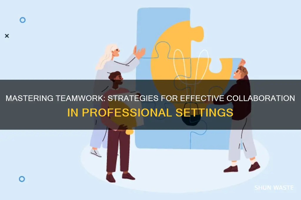 how do you approach working in a team environment