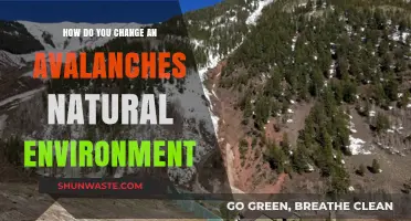 Transforming Avalanche Landscapes: Strategies to Alter Natural Environments Safely