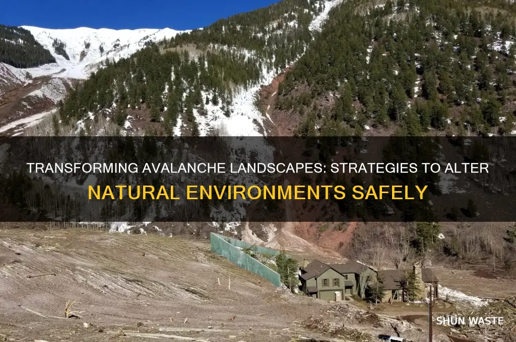 how do you change an avalanches natural environment