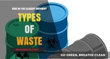 Classifying Waste: A Comprehensive Guide to Sorting Different Types