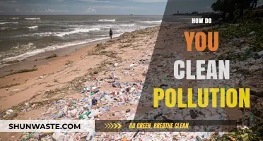 Cleaning Pollution: Strategies for a Greener Tomorrow