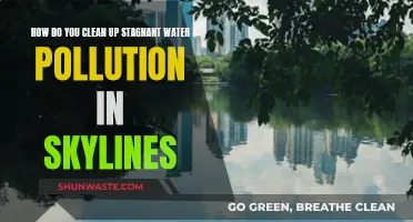 Revitalizing Urban Waters: Strategies to Clean Stagnant Pollution in Skylines