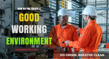 Crafting a Productive Workplace: Tips for a Positive Work Environment
