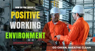 Fostering Productivity: Strategies to Create a Positive Working Environment
