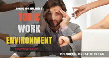 Surviving and Thriving: Strategies to Tackle a Toxic Work Environment