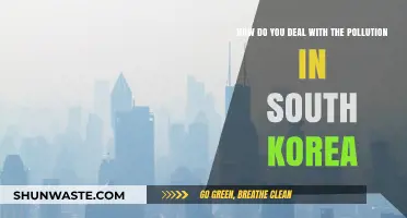 Battling Pollution: South Korea's Strategies and Challenges