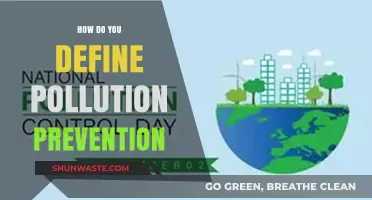 Preventing Pollution: Strategies for a Greener Future