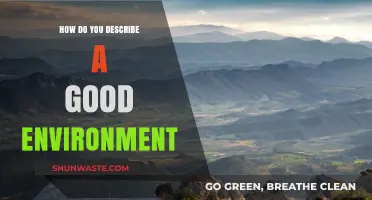 Creating a Good Environment: Key Elements for Harmony and Well-Being