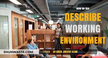 Crafting the Perfect Workplace: Defining Your Ideal Working Environment