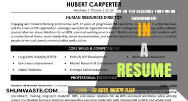 Crafting a Resume: Describing Your Ideal Work Environment Effectively