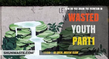 Draining the Fountain in Wasted Youth Part 1: A Step-by-Step Guide