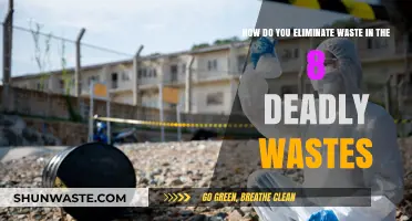 Eliminating Deadly Wastes: Strategies to Streamline Efficiency and Reduce Waste