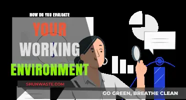 Assessing Your Workplace: Key Factors to Evaluate Your Working Environment