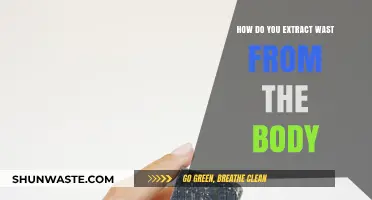 Effective Methods to Detoxify and Remove Waste from Your Body