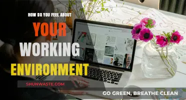 Your Workspace, Your Mood: Reflecting on Your Working Environment