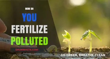 The Ultimate Guide to Fertilizing Polluted Soil