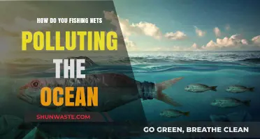 The Devastating Impact of Fishing Nets on Our Oceans