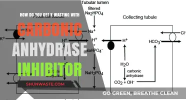 Understanding K Wasting: Carbonic Anhydrase Inhibitors and Their Impact