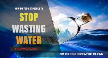 Conserve Water: Simple Strategies to End Wasteful Habits Effectively