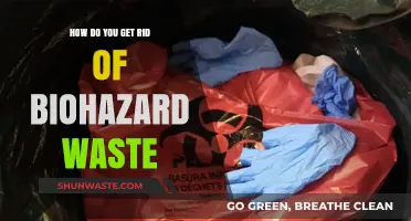 Safe Biohazard Waste Disposal: Essential Steps for Effective Removal