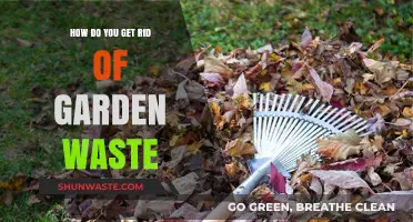 Effective Ways to Dispose of Garden Waste Responsibly and Easily