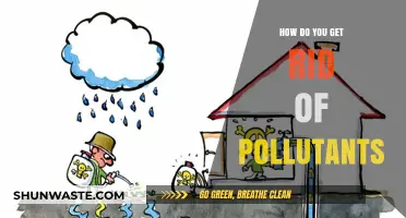 Purifying Air: Natural Ways to Remove Pollutants