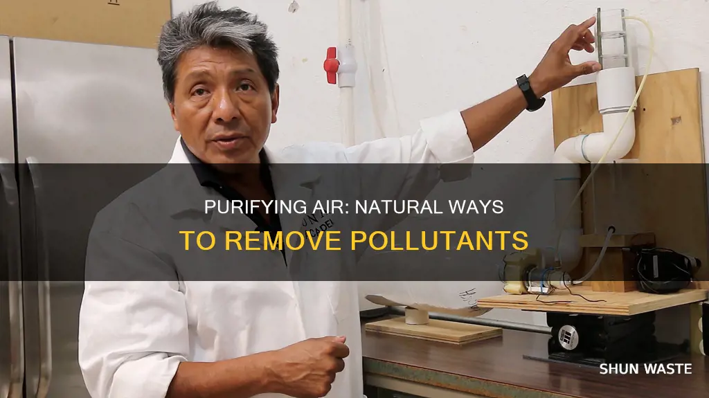 how do you get rid of pollutants