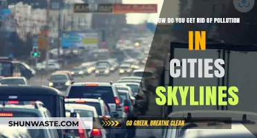 Strategies to Combat Pollution in Cities: Skylines