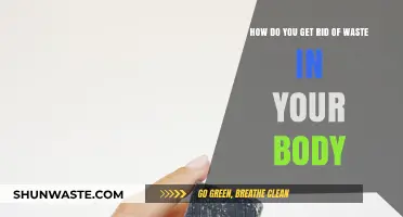 Effective Ways to Detoxify and Eliminate Waste from Your Body