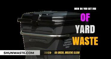 Effective Yard Waste Disposal: Tips for a Clean and Green Outdoor Space