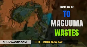 Exploring Maguuma Wastes: A Comprehensive Guide to Reaching This Mystical Land