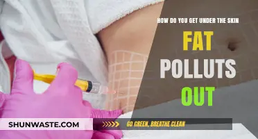 Fat Flush: Detox Your Skin, Body, and Mind