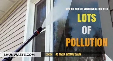Sparkling Windows: Cleaning Tips for Pollution-Prone Areas