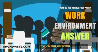 Thriving in Fast-Paced Workplaces: Strategies for Success and Stress Management