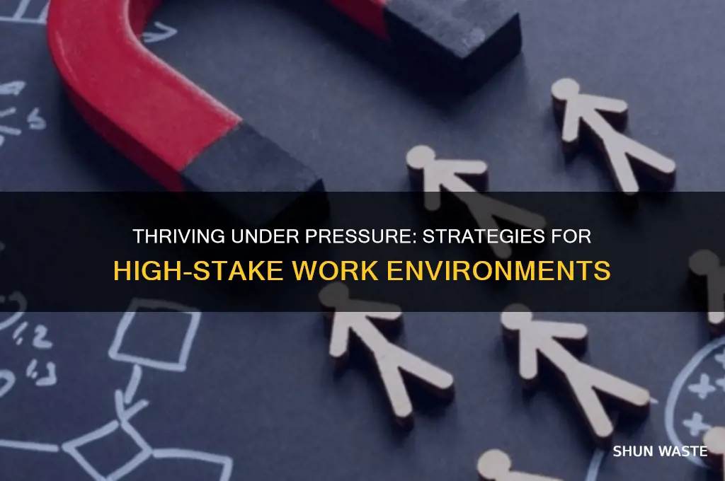 how do you handle working in high-pressure high-stake environments