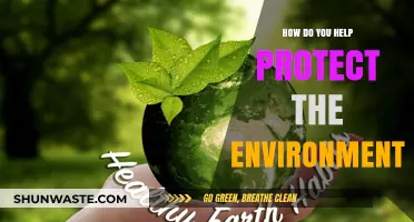 Sustainable Steps: Simple Ways to Protect Our Environment Daily