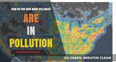 Understanding Pollution's Syllable Count: A Comprehensive Guide