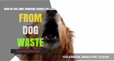Keep Our Water Clean: Properly Dispose of Dog Waste
