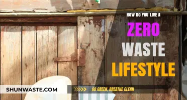 Sustainable Living: Practical Steps to Embrace a Zero Waste Lifestyle
