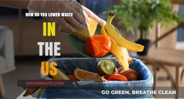 Sustainable Solutions: Strategies to Reduce Waste in the United States