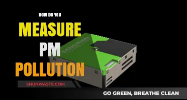 PM Pollution: Measuring the Invisible