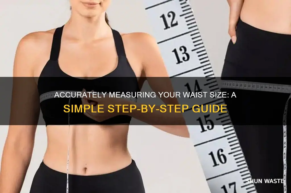 how do you measure your waste size