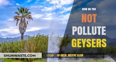 Keep Geysers Clean: Tips for Eco-Friendly Use