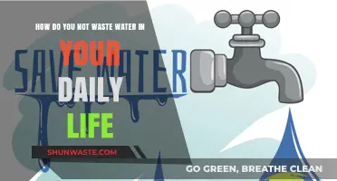 Save Water Daily: Simple Tips to Avoid Waste in Your Routine
