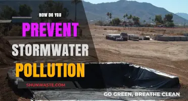 Stormwater Pollution: Strategies for Prevention and Protection