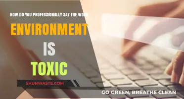Navigating a Dysfunctional Workplace: Professional Strategies to Address Toxicity