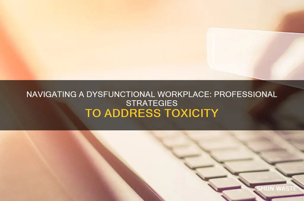 how do you professionally say the work environment is toxic